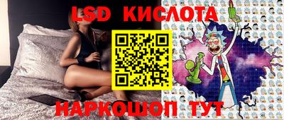spice Кингисепп