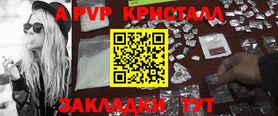 spice Кингисепп