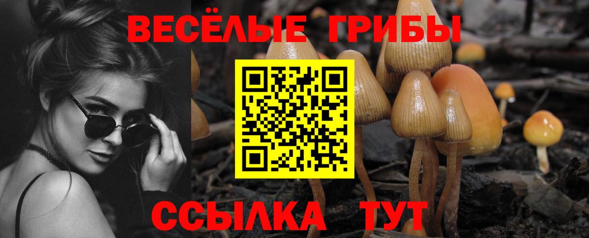 Галлюциногенные грибы мицелий Сосновоборск