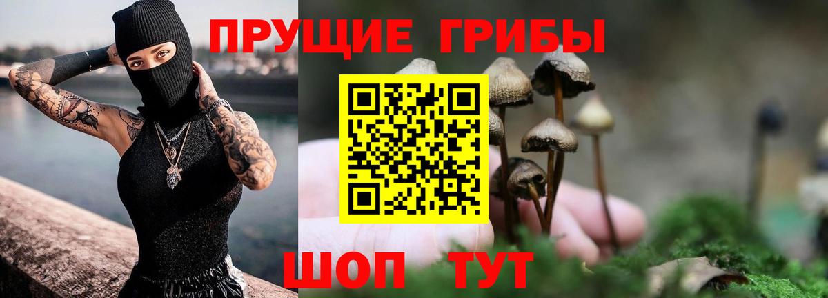 Псилоцибиновые грибы MAGIC MUSHROOMS  Вход с VPN  где купить наркоту  Сосновоборск 